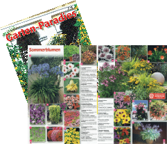 Katalog 'Grüne Vielfalt'