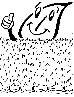 Gehölze für Hecken