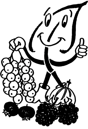 Beerenobst - Pflege und Schnitt