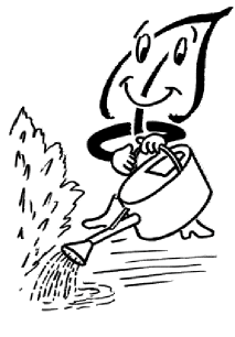 Gartentipps für die Ferienzeit