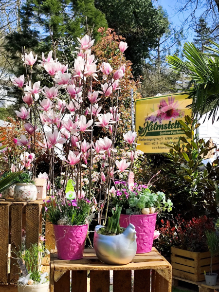 GartenLust Kreuzwertheim Ausschnitt