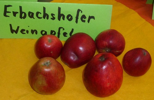 Apfel